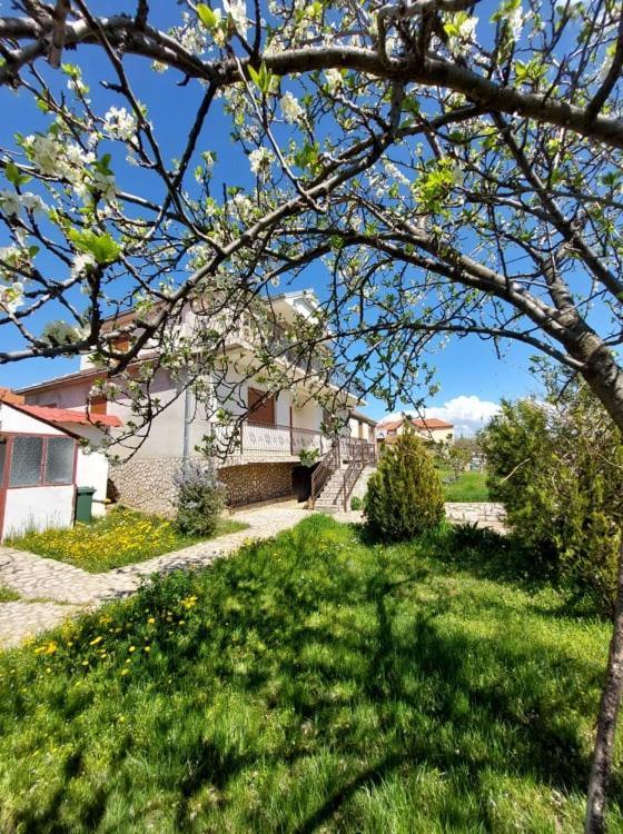 Prespa'S Balcony Guesthouse Dolna Gorica Exterior photo